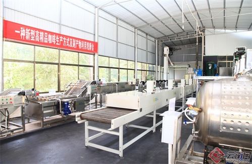 兩個(gè)全國唯一 云南咖啡 代表中國 背后的科技加持